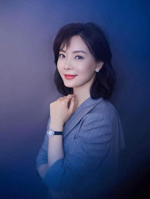 洪辰无法原谅 洪辰的颜值