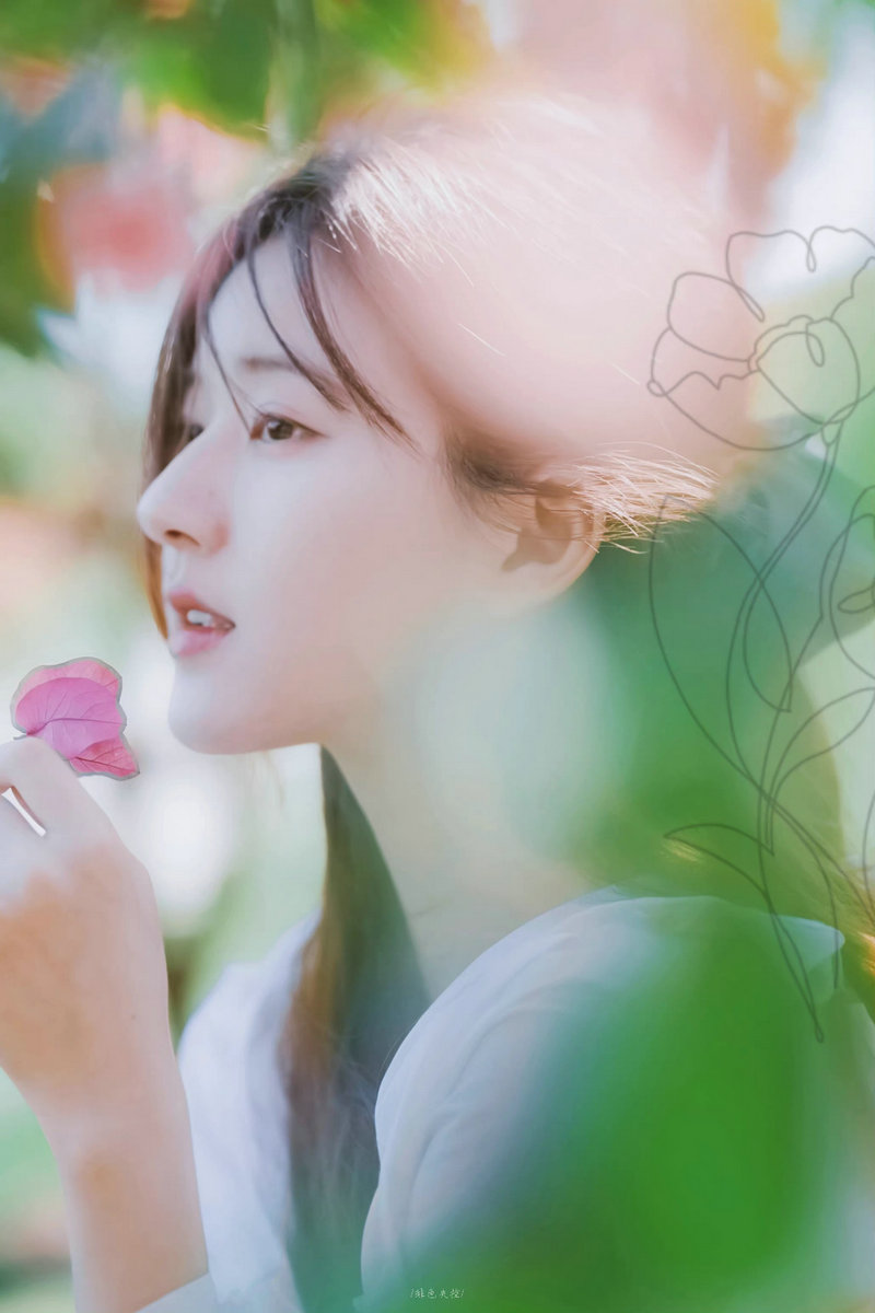 电视剧情满四合院演员表