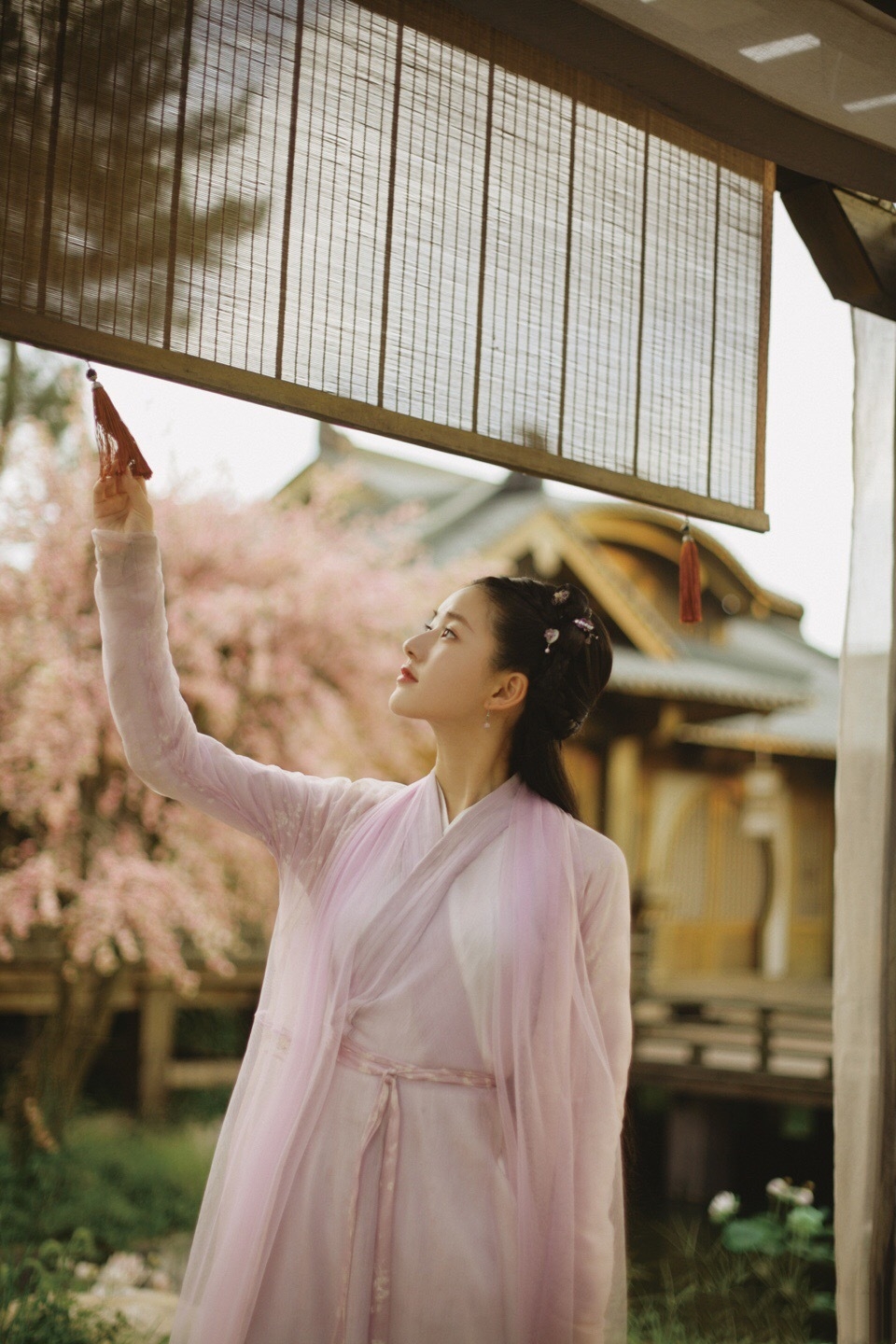 郑爽个人资料简介体重