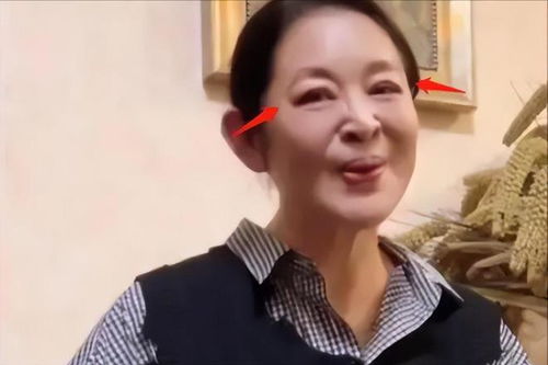 张柏芝杨门女将 张柏芝杨门女将演员表介绍 张柏芝杨门女将 张柏芝杨门女将演员表介绍